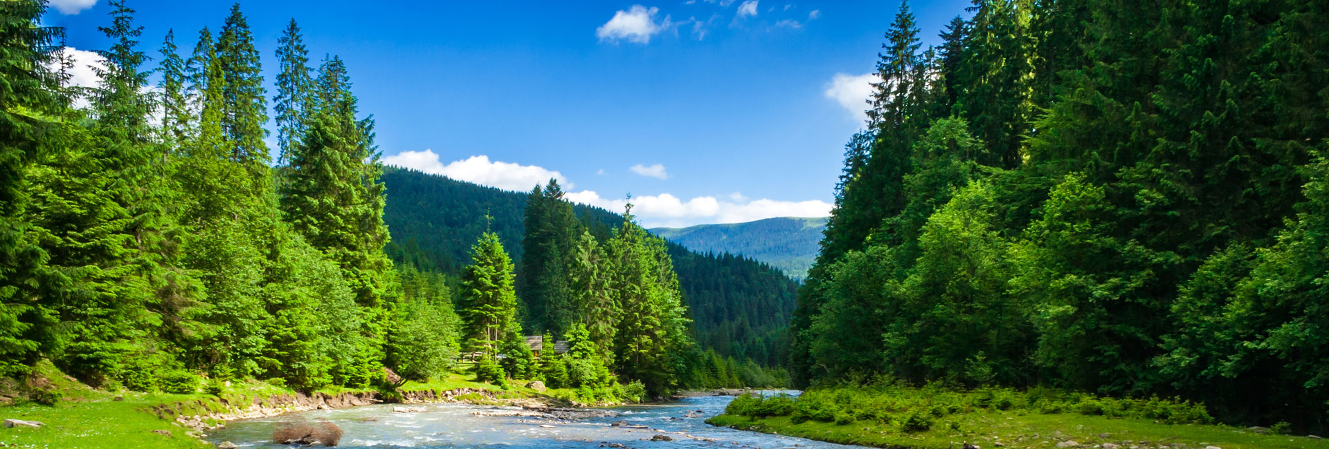 Beautiful Scenery